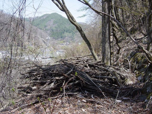 ����ѓS,�X�ѓS��,�p����,�؍މ^���O����,�H��,����