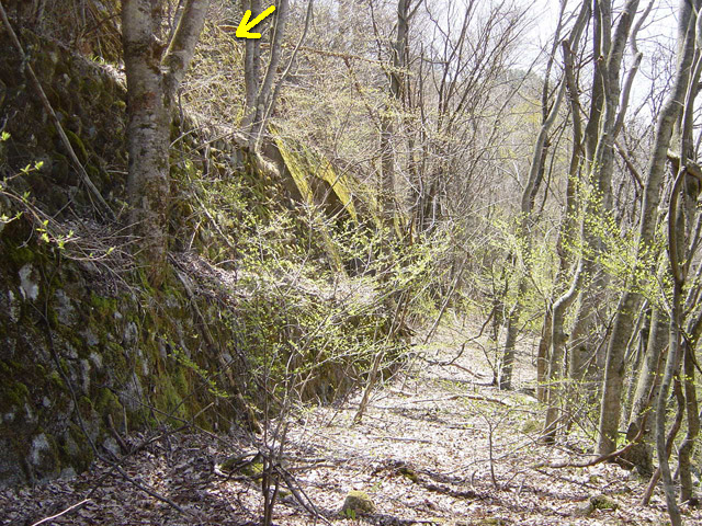 ����ѓS,�X�ѓS��,�p����,�t�֐�,�V��,����