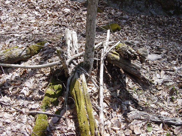 ����ѓS,�X�ѓS��,�p����,����,�c�я��O��,����