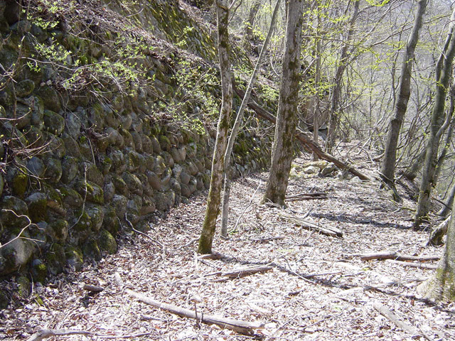 ����ѓS,�X�ѓS��,�p����,�Ί_,�i��,����