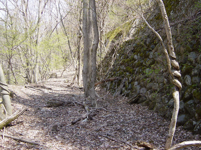 ����ѓS,�X�ѓS��,�p����,�؍މ^���O����,����c�ы�,����