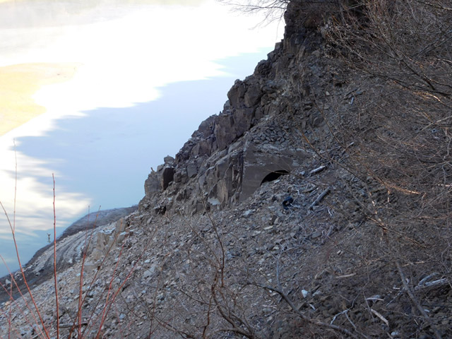 ����ѓS,�X�ѓS��,�p����,����,��8���g���l��,�B��,�i���[�O����