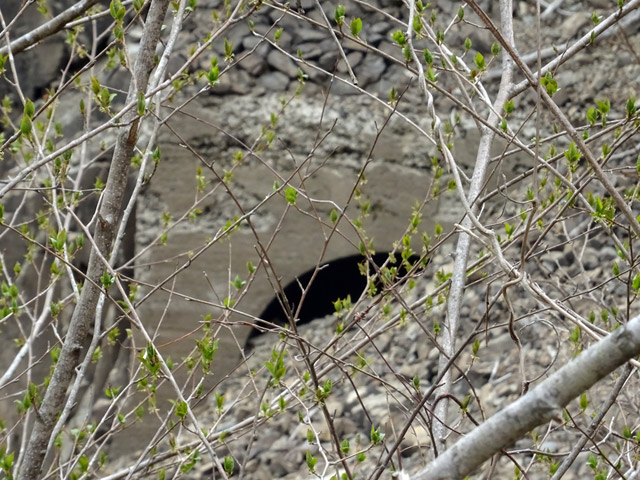 ����ѓS,�X�ѓS��,�p����,����,���E��g���l��,���,�ѓ�