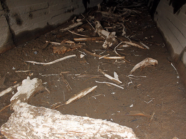 �X�ѓS��,����ѓS,�p����,����,���E��g���l��,��x��,�c�я��O����