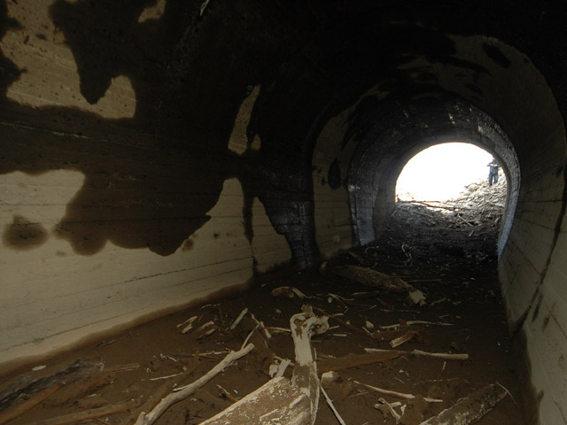 �X�ѓS��,����ѓS,�p����,����,���E��g���l��,�R��,�c�я��O����