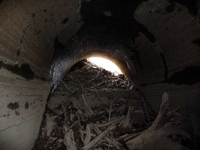 ����X�ѓS������,�ѓS,�p����,�攪���g���l��,�؍މ^���O����,��x��