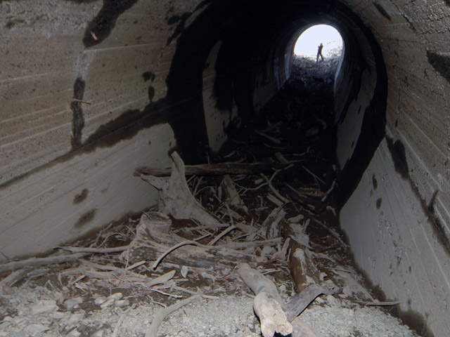 ����X�ѓS������,�ѓS,�p����,��8���g���l��,�ѓ�,�S��1����