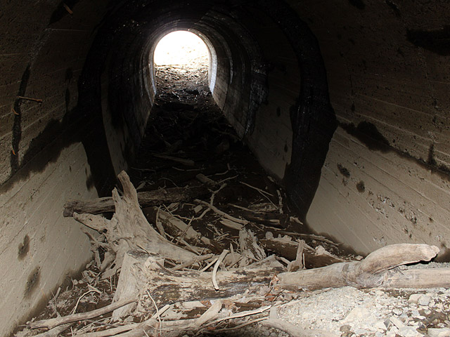 ����X�ѓS������,�ѓS,�p����,��8���g���l��,2�t�B�[�g6�C���`,����c�ы�