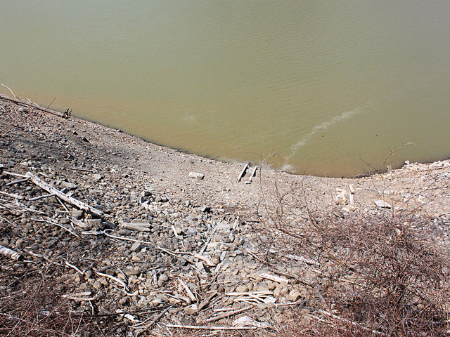 �ؑ]�X�ѓS�������,�ѓS,�p����,����,���E�򋴗�,��x��,�q���_����