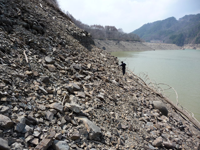 �X�ѓS��,����ѓS,�p����,�q���_����,��x��,���ꑺ,�؍މ^���O����