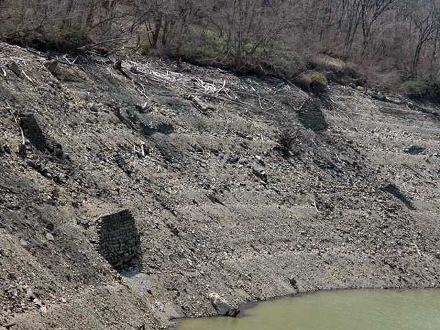 ����X�ѓS��,�ѓS,�p����,����,�t�֐�,�q���_����,�i��