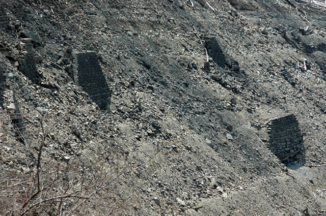 ����X�ѓS��,�ѓS,�p����,����,���ꑺ,�q���_����,�i��