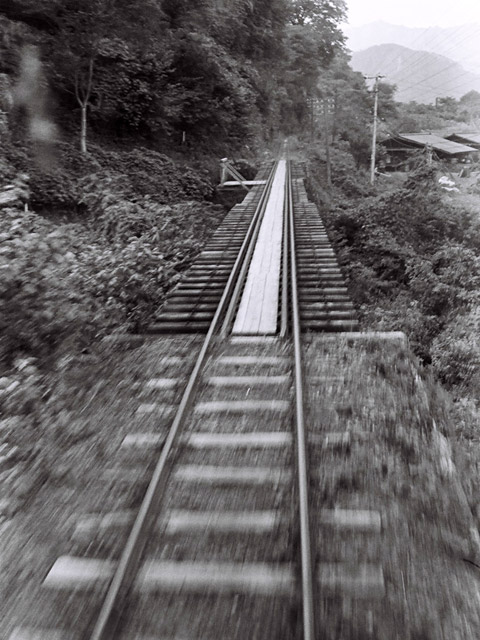 ����X�ѓS��,�ѓS,�a���򋴗�,�S��,�Ҕ���,���[��,���H�ώ@