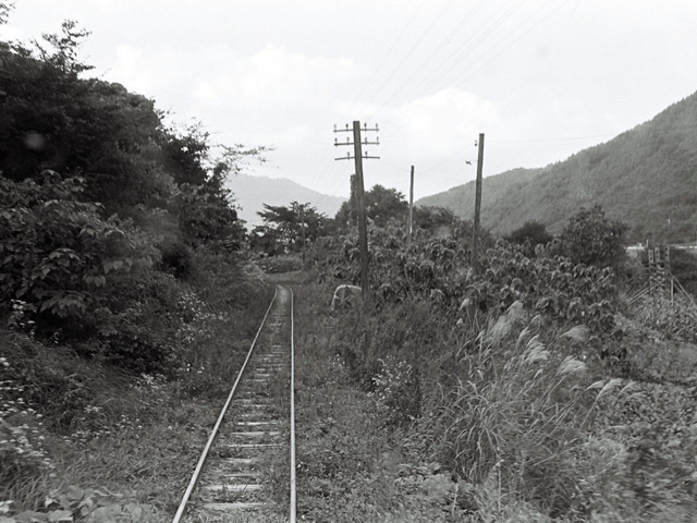 ����X�ѓS��,�ѓS,�n�G�^�^�L,�ʐM��,,���[��,�㏼�^�A�c�я�,���