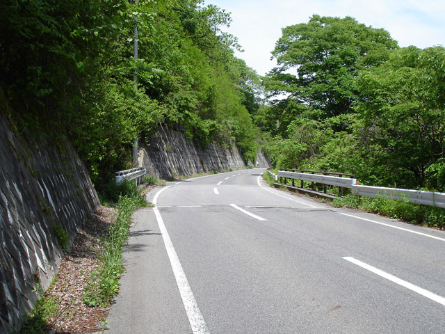 ����X�ѓS��,�ѓS,��a���򋴗�,�ѓ��䃖����,�p����