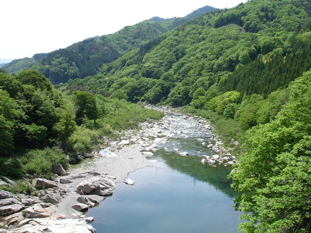 ����X�ѓS��,�ѓS,�T�C�z����,�ѓ��䃖����,�p����,�ؑ]��