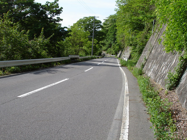 ����X�ѓS��,�ѓS,�p����,�ѓ��䃖����,�㏼�^�A�c�я�,�ԓ���