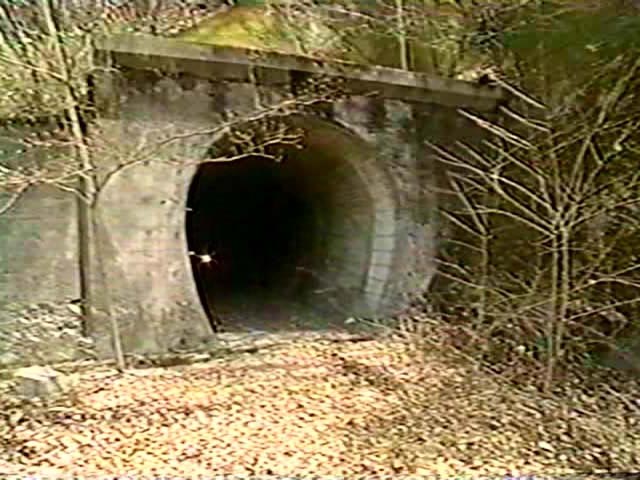 ����X�ѓS��,�ѓS,�p����,��1��詓�,�p�g���l��,Let's�h���E�L�z�[�e,���É��e���r