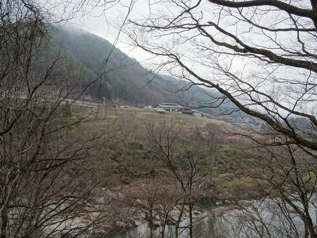 ����X�ѓS��,�ѓS,�p����,�T�C�z����,���̉w�ؑ]����,����19��