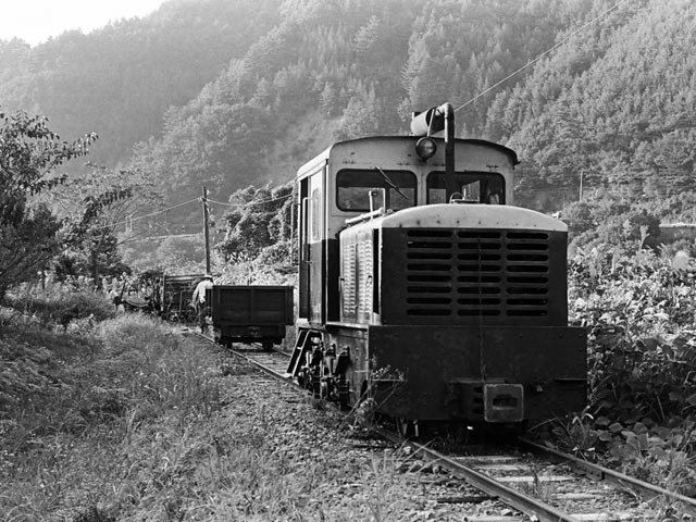 ����X�ѓS��,�ѓS,���[���P�����,���H,�ؑ]�X,�㏼�^�A�c�я�