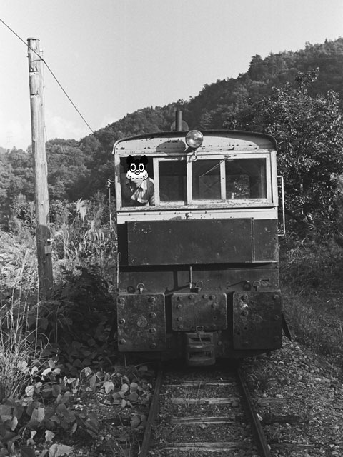 ����X�ѓS��,�ѓS,���[���P�����,���H,�ؑ]�X,����H�쏊��S�^�@�֎�