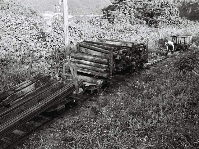 ����X�ѓS��,�ѓS,�p����,���[���P��,�ؑ]�X,���B