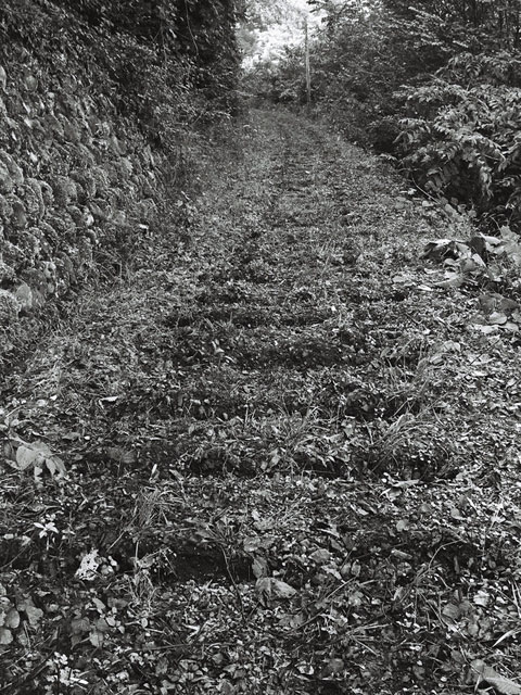 ����X�ѓS��,�ѓS,�p����,�ѓ�,����ԏ�,�㏼�^�A�c�я�