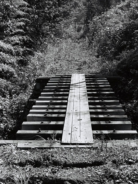 ����X�ѓS��,�ѓS,�p����,�ѓ�,�O����,�㏼�^�A�c�я�