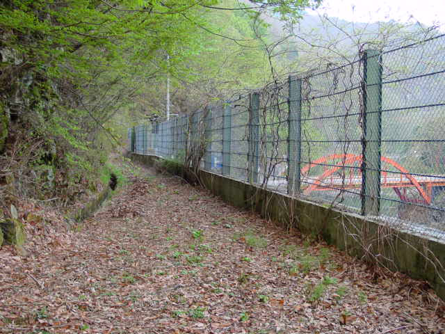 ����X�ѓS��,�ѓS,�p����,�ؑ]�X,�ѓ�,��Ջ�,���O�x��