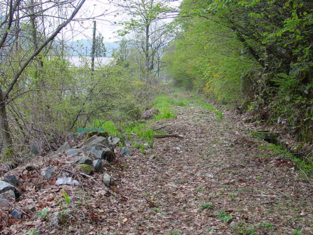 ����X�ѓS��,�ѓS,�p����,�ؑ]�X,�ѓ�,�O����,���O�x��