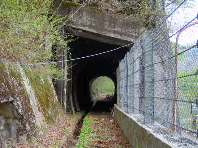 ����X�ѓS��,�ѓS,�p����,�ؑ]�X,�ѓ�,�g���l��,詓�