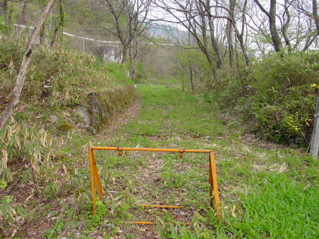 ����X�ѓS��,�ѓS,�p����,�ؑ]�X,�їp�O����,�㏼�^�A�c�я�