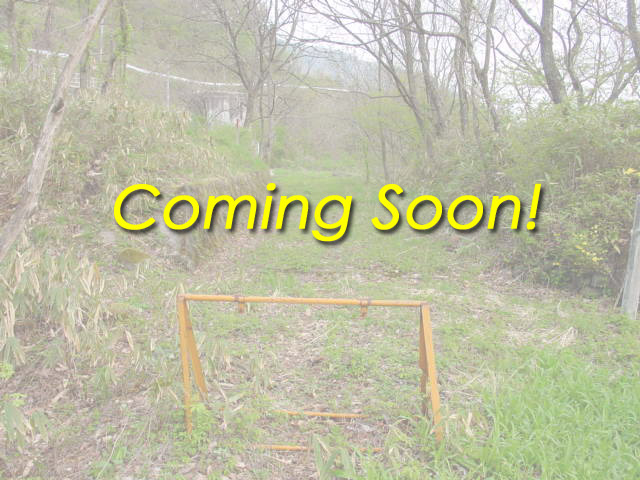 ����X�ѓS��,�ѓS,�p����,�ؑ]�X,��_�ϑ�,��r�ʐ^,�r�t�H�[�A�t�^�[