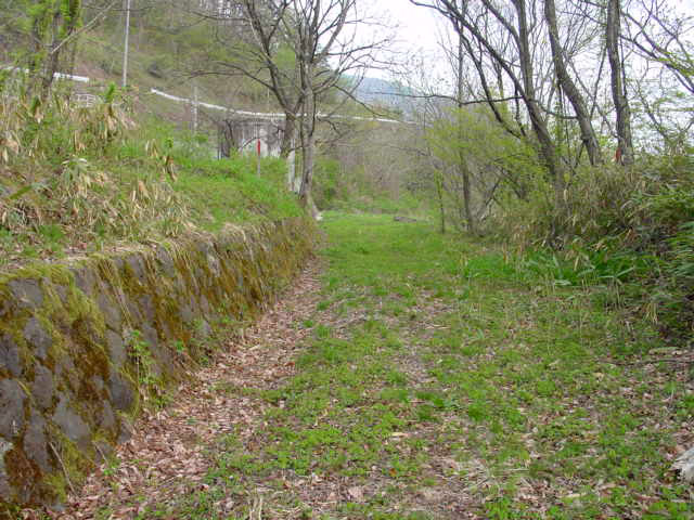 ����X�ѓS��,�ѓS,�p����,�ؑ]�X,�؍މ^���O��,�ѓ�,�㏼�^�A�c�я�