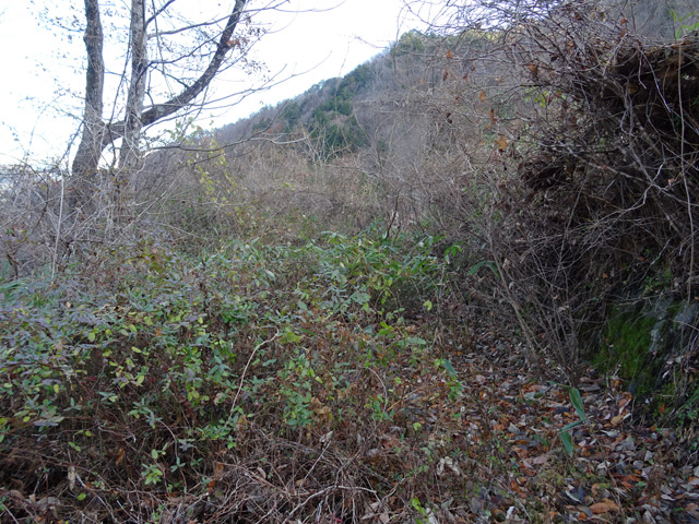 ����X�ѓS��,�ѓS,�p����,�ؑ]�X,�㏼�^�A�c�я�,�ѓ�,�O����