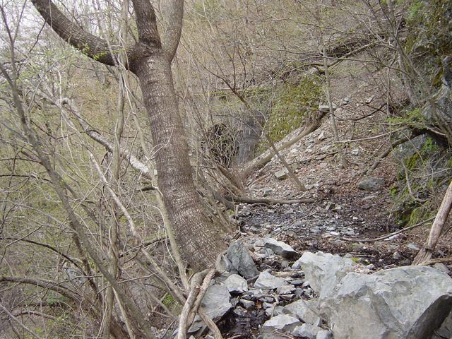 ����X�ѓS��,�p����,�ѓS,�O�Y�_����,�O�Y�����r,�ؑ]�X