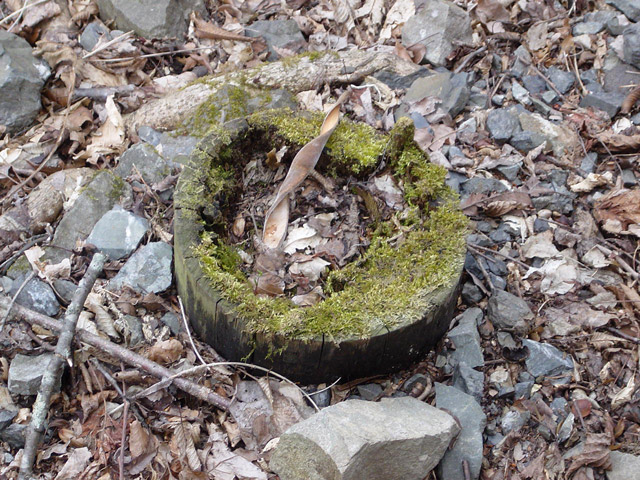 ����X�ѓS��,�p����,�ѓS,�O�Y�_����,�O�Y�����r,�ؑ]�X