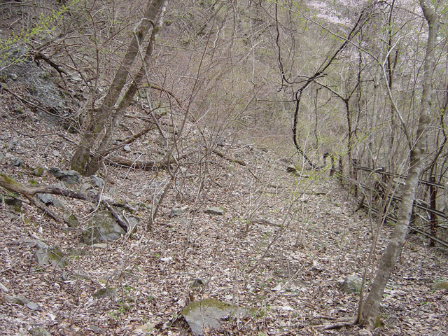 ����X�ѓS��,�ѓS,�p����,������ԏ�,�ؑ]�X,�㏼�^�A�c�я�