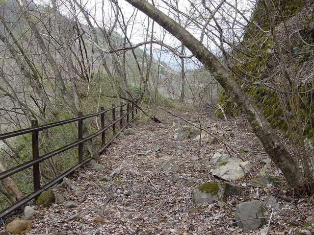 ����X�ѓS��,�ѓS,�p����,������ԏ�,�ؑ]�X,���[����