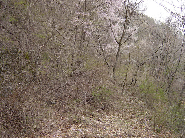 ����X�ѓS��,�ѓS,�p����,������ԏ�,�ؑ]�X,�ݒu