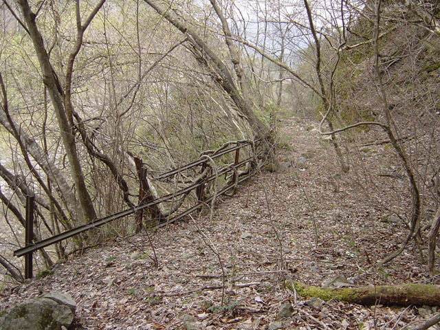 ����X�ѓS��,�ѓS,�p����,������ԏ�,�ؑ]�X,�z��