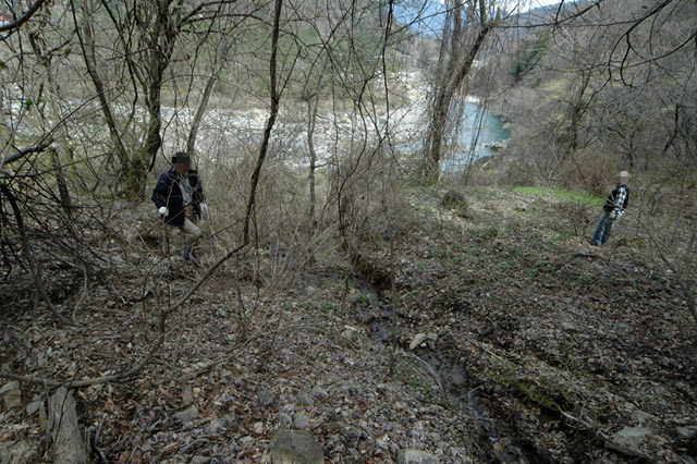 ����X�ѓS��,�ѓS,�p����,������ԏ�,�ؑ]�X,����,����,�w��