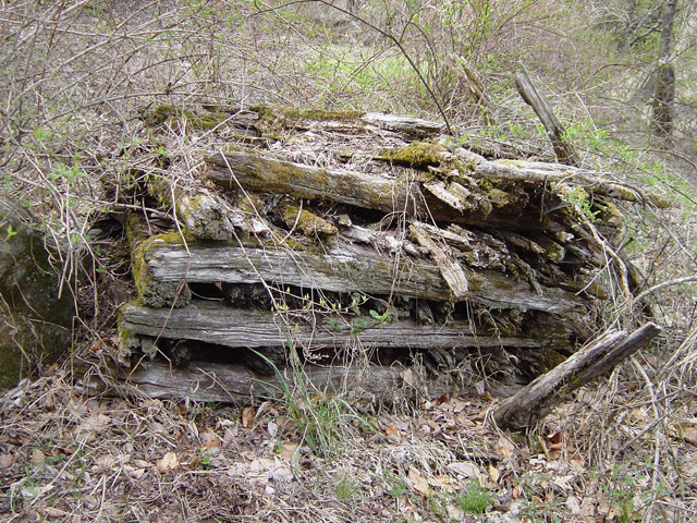 ����X�ѓS��,�ѓS,�p����,������ԏ�,�ؑ]�X,�ѓ�,�ϖ���