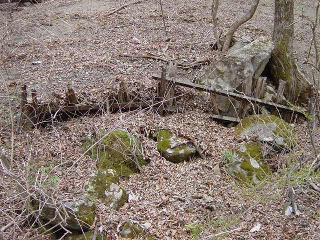 ����X�ѓS��,�ѓS,�p����,������ԏ�,�ؑ]�X,�ѓ�,�h���