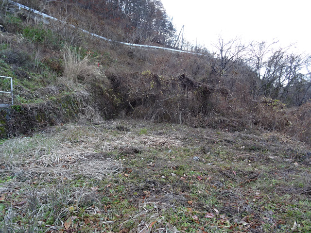 ����X�ѓS��,�ѓS,�p����,�ؑ]�X,�؍މ^���O��,�ѓ�