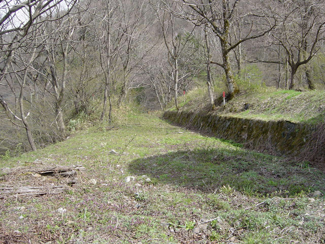 ����X�ѓS��,�ѓS,�p����,�㏼�^�A�c�я�,�؍މ^���O��,�ѓ�