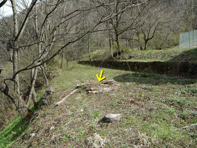 ����X�ѓS��,�ѓS,�p����,�㏼�^�A�c�я�,�؍މ^���O��,����