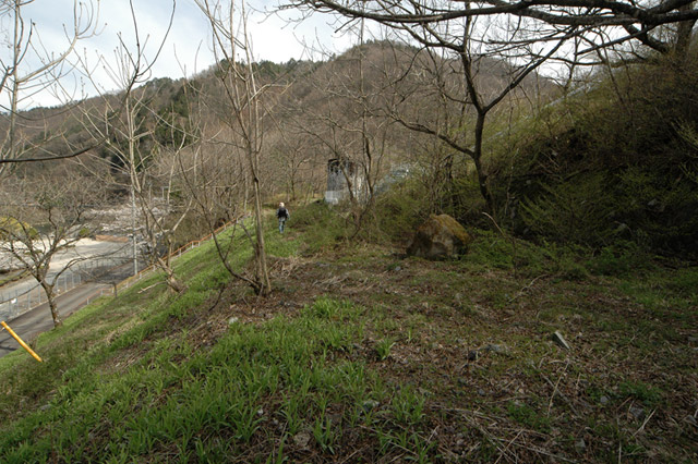 ����X�ѓS��,�ѓS,�p����,�㏼�^�A�c�я�,�؍މ^���O��,�ؑ]���O�x