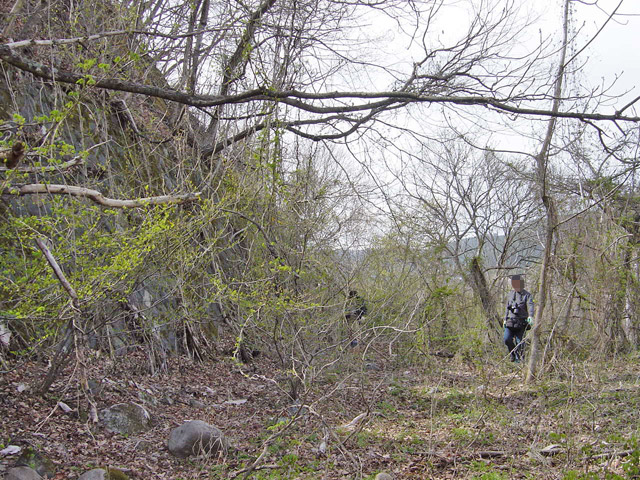 �ؑ]�X�ѓS�������,�ѓS,�p����,�㏼�^�A�c�я�,�H��,�їp�O��