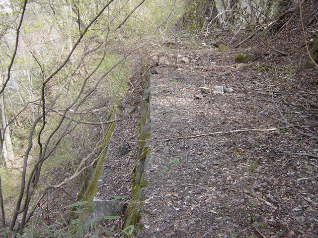 �ؑ]�X�ѓS�������,�ѓS,�p����,�㏼�^�A�c�я�,�H��,�i��